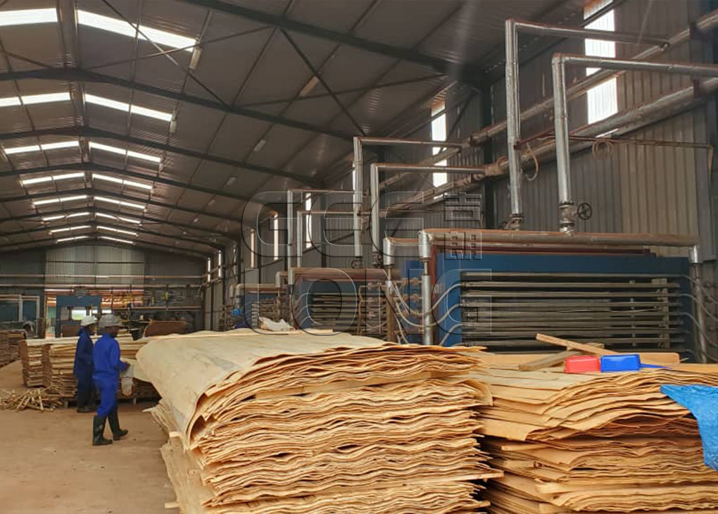 China GEELONG máquina de madeira compensada na África